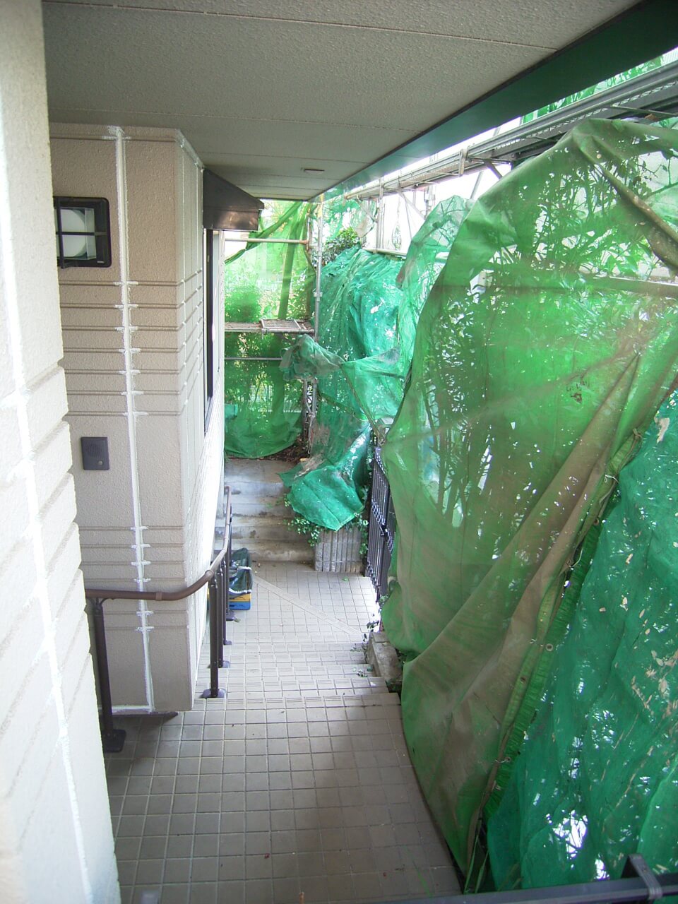 樹木養生
