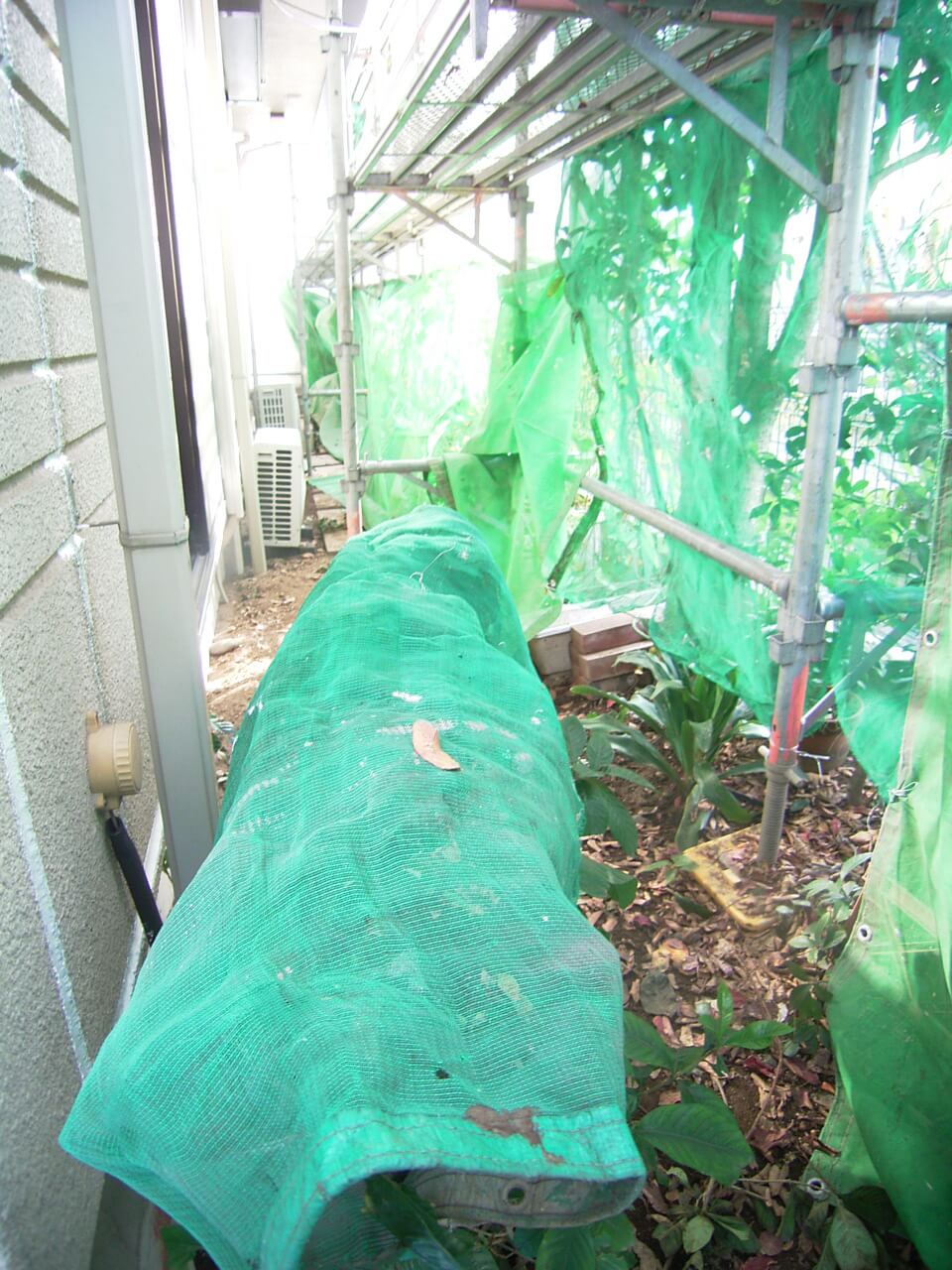 庭の樹木養生