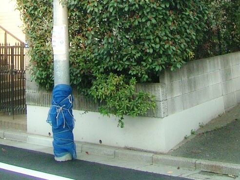 外構の基礎塗装後