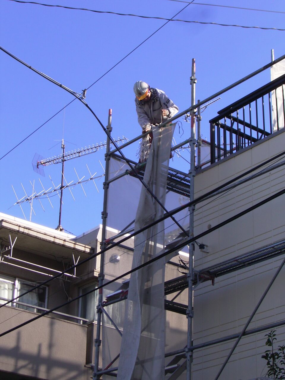 養生シート剥がし