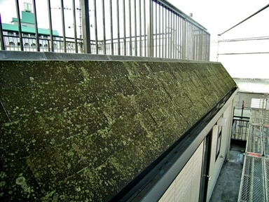 アスファルトシングル屋根の防藻・防苔処理塗装