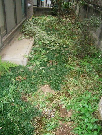 テラス囲い設置前
