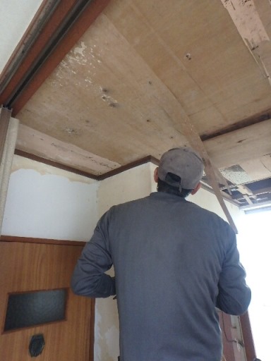 カビの生えた天井の改修