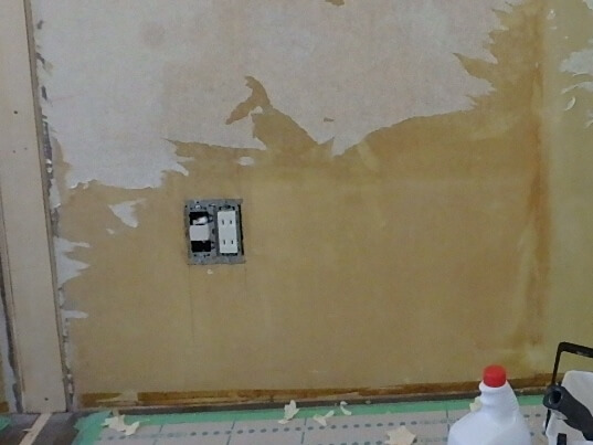 かび除去後の部屋の壁