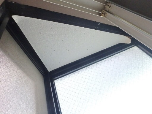 壁紙の剥がれかけた窓天井