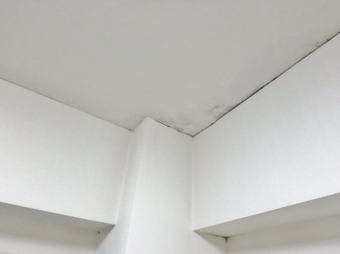 壁と天井の取り合いのカビ